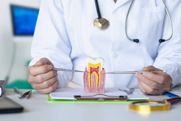 Best Pediatric Emergency Dentist in St Anne, IL